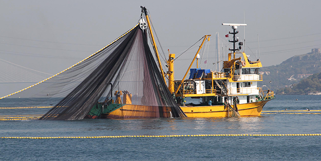 Dikkat: Av yasağı başlıyor! Balık fiyatları...