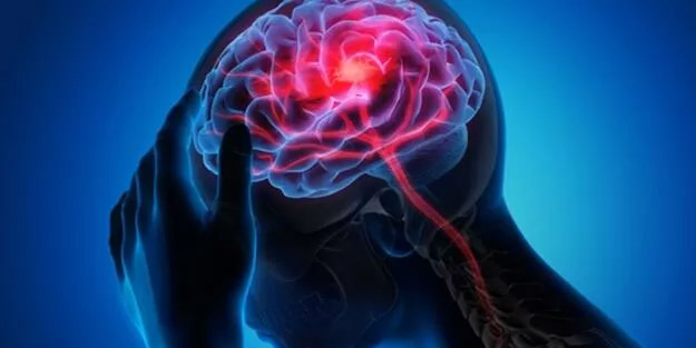 Dikkat! Beynin üretkenliğini çoğaldırıyor! İngiliz uzmanlar duyurdu: Dünyadaki birkaç önemli besin