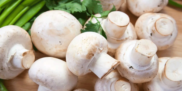 Dikkat bu hatalara düşmeyin! Mantarı böyle yiyenler yandı