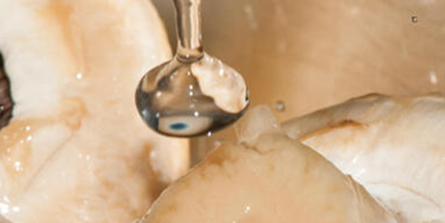 Dikkat büyük hata! Pişirmeden önce bu 5 besini asla yıkamayın...