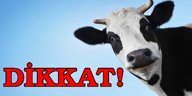 Dikkat! Büyük vurgun hazırlığı