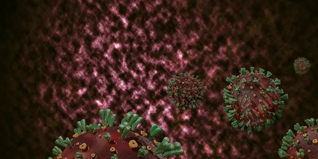 Dikkat çeken mutasyon açıklaması: Görünmez oldu