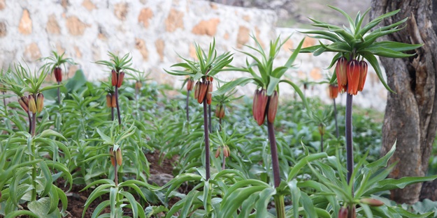 Dikkat! Cezası 109 bin 593 lira