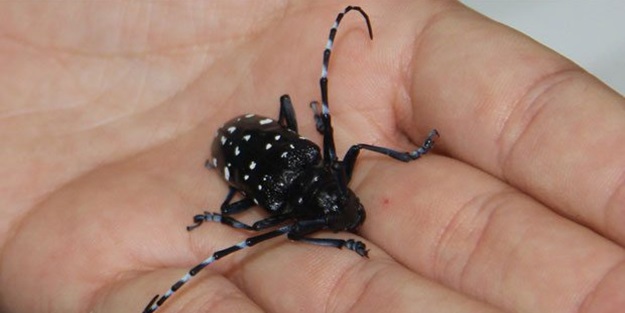 Dikkat! Gördüğünüz anda bildirin