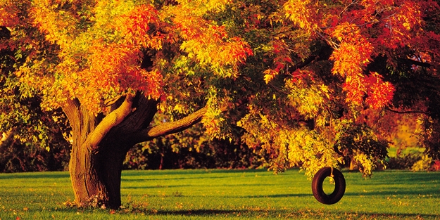 Dikkat! Hepsinin nedeni sonbahar mı?