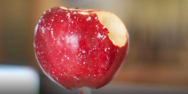 Dikkat! Isırmadan önce bunu yapın