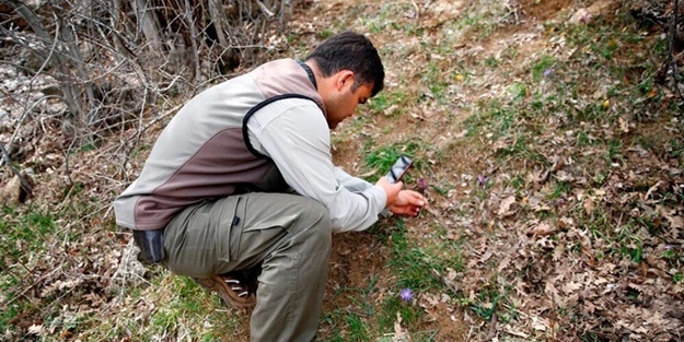 Dikkat! Koparmanın cezası 109 bin lira