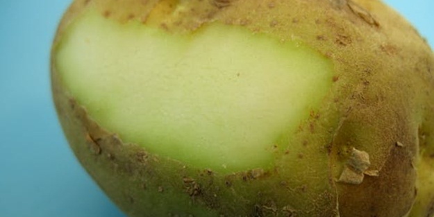 Dikkat! Ölüme kadar götürüyor