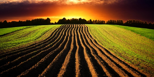 Dikkat! Tarımsal destekleme ödemeleri bugün yapılacak