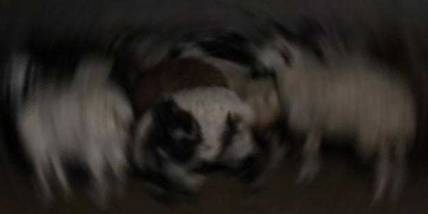 Dikkatsiz sürücüler sürüye daldı, 35 koyun telef oldu