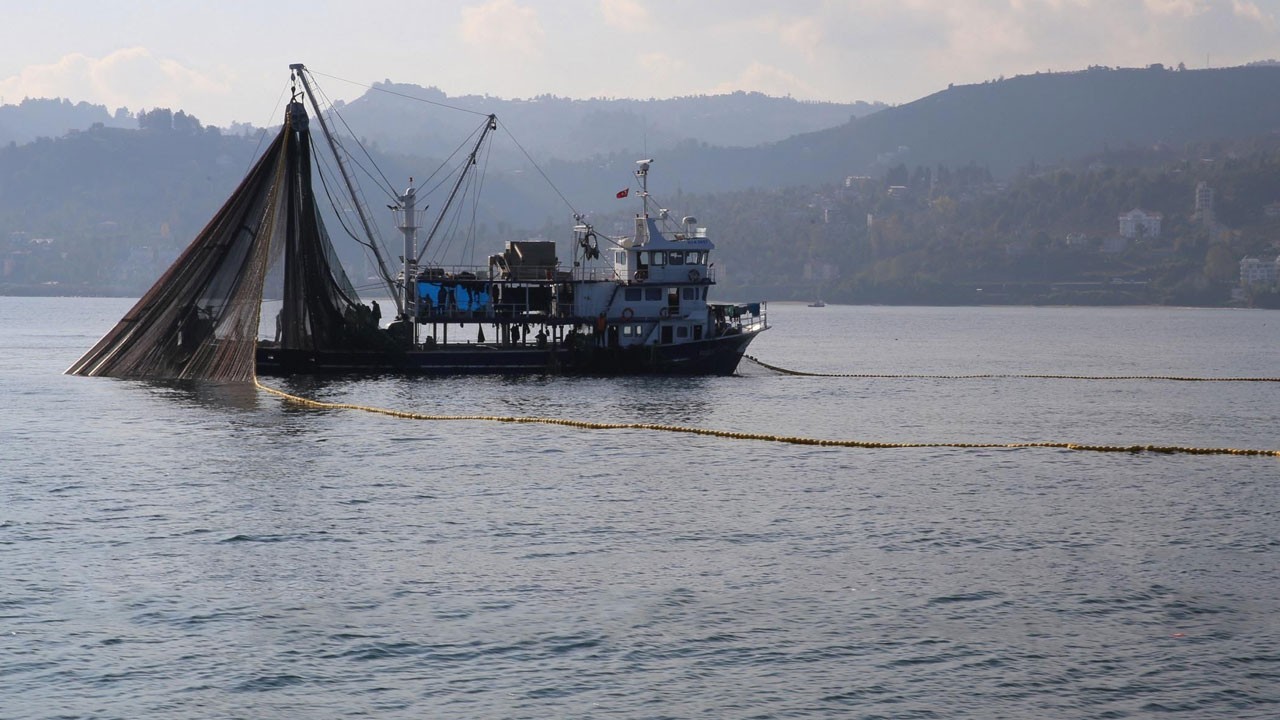 Dil ve pisi balığı için yasak geldi!