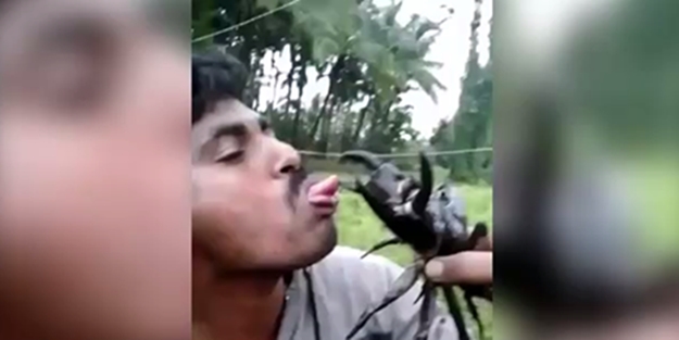 Dilini yengece böyle kaptırdı! - VIDEO