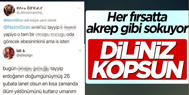 Diliniz kopsun