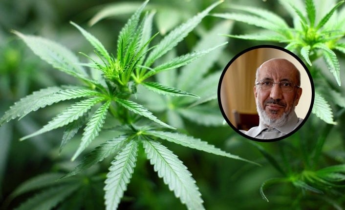 Dilipak haklı çıktı! Kenevirden üretilen ürünler arasında yok yok