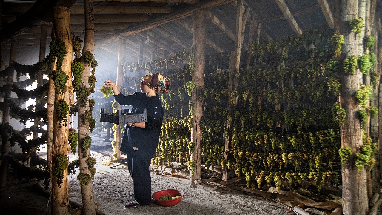 Dillere destan pekmezin zorlu yolculuğu