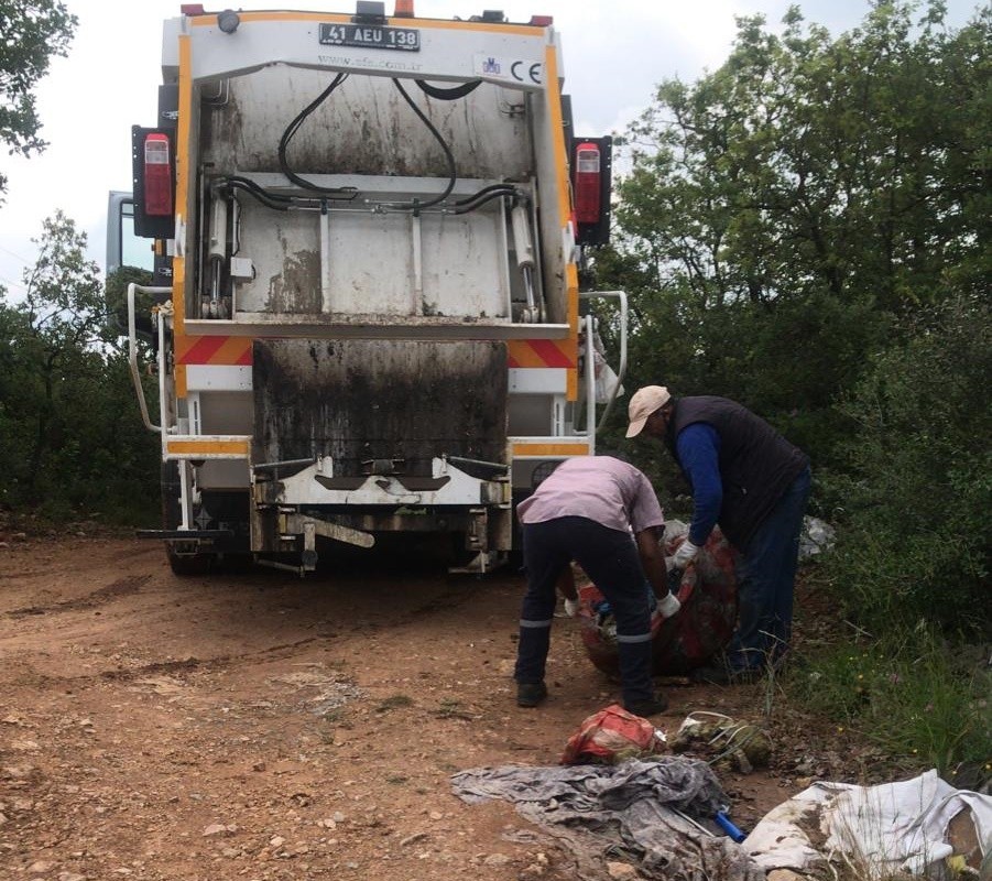 Dilovası’nda ormanlık alanlar temizlendi 