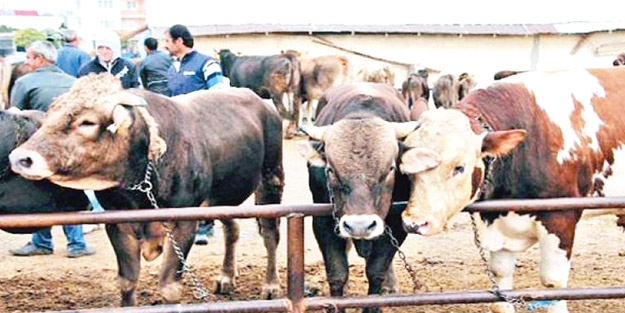 Din tüccarları yine sahneye çıktı!