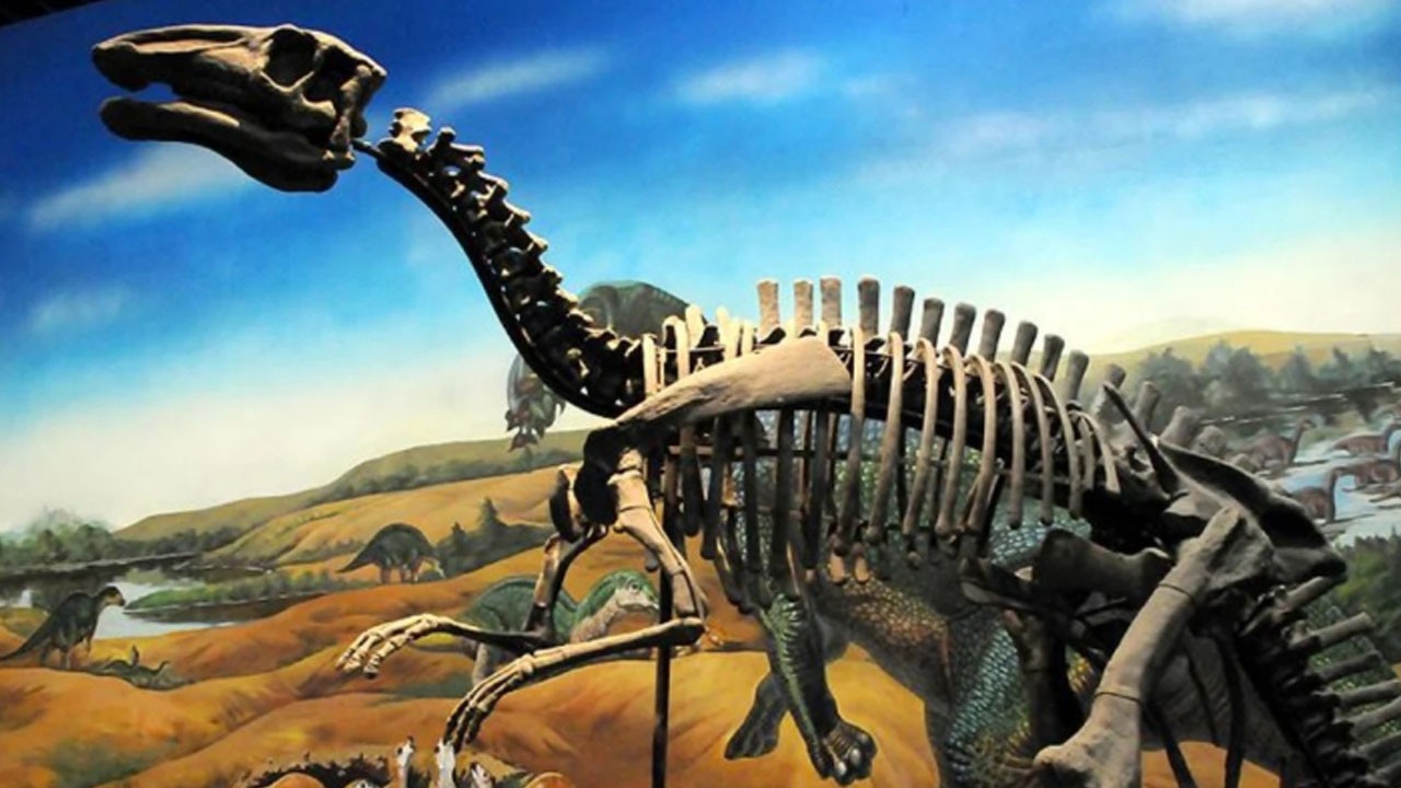 Dinozorları yok eden asteroitle ilgili çarpıcı keşif! Çarpıcı detaylar! Hangi zaman içerisinde açıklanamıyor!