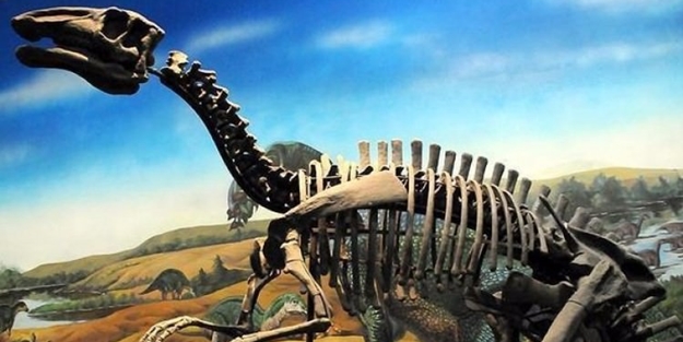 Dinozorlarla ilgili yeni keşif