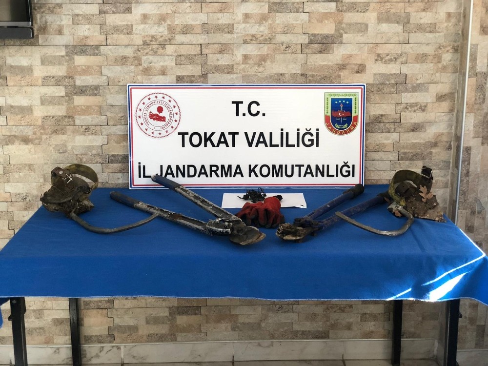 Direklere tırmanıp çaldılar 