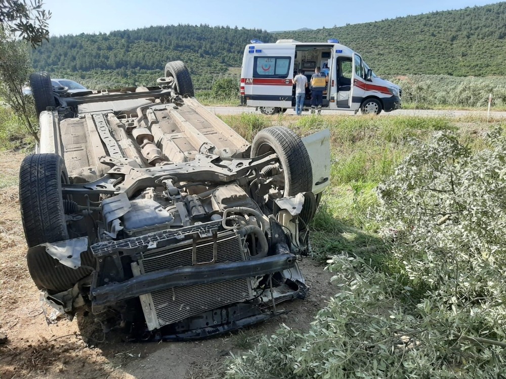 Direksiyon hakimiyetini kaybetti zeytinliğe uçtu 