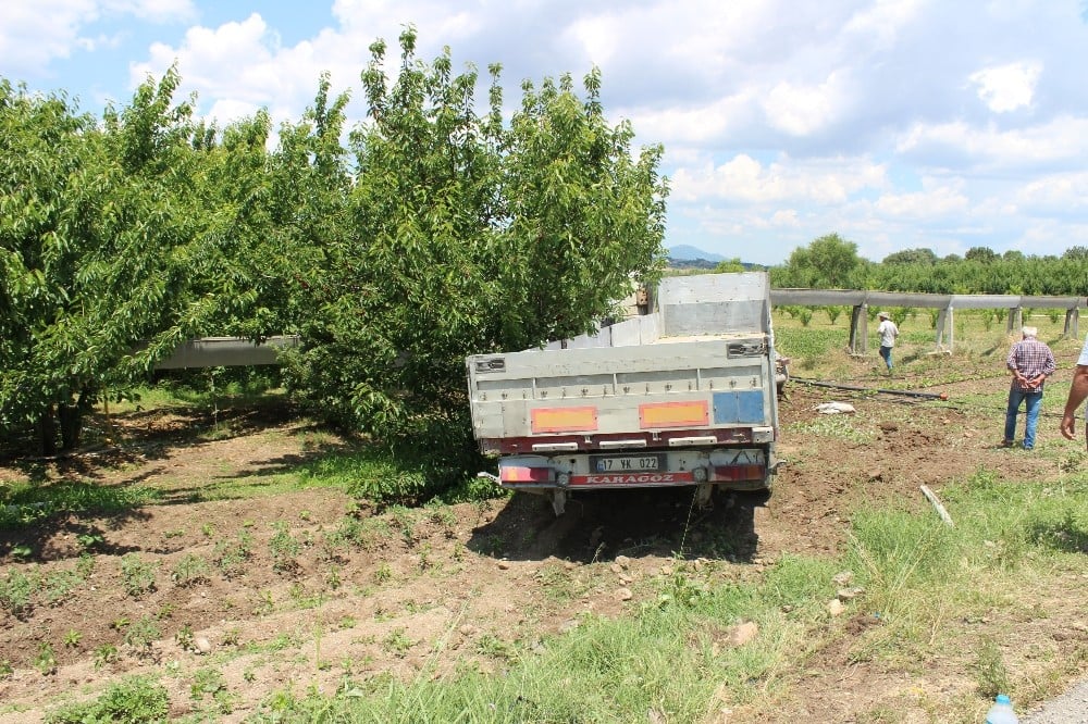 Direksiyonu kilitlenen TIR kiraz bahçesine girdi 