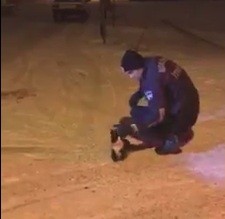 Direkte mahsur kalan kediyi itfaiye kurtardı 