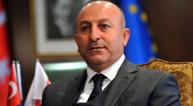 Dışişleri Bakanı Mevlüt Çavuşoğlu Japonya'da