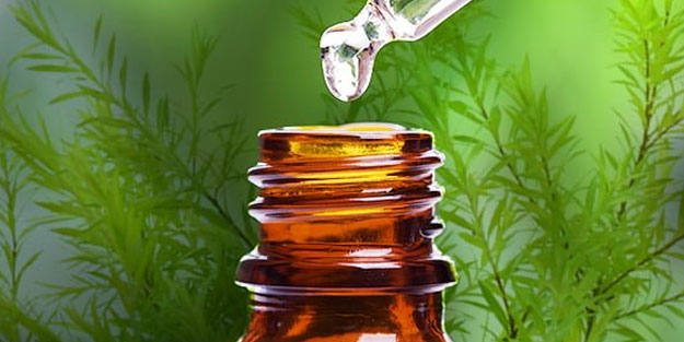 Dişlerinizi bu yağlarla fırçalayın ve ömür boyu dişçiye gitmeyin