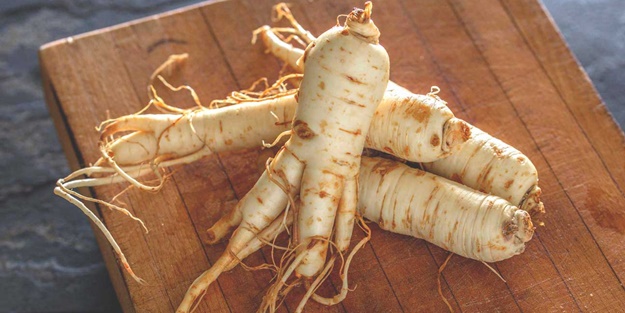 Diyabet hastaları ginseng tüketmeli