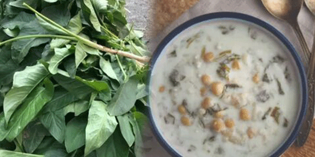 Diyabeti olanlar bu bitkiden vazgeçemiyor! Kullanan övmeye doyamıyor