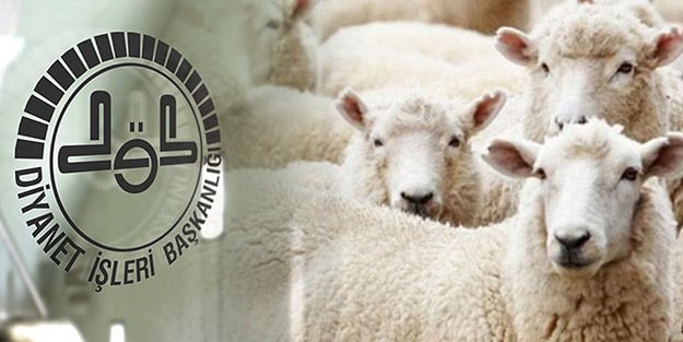 Diyanet 'kurban' kararlarını açıkladı! Yapılmazsa 88 bin 499 TL cezası var