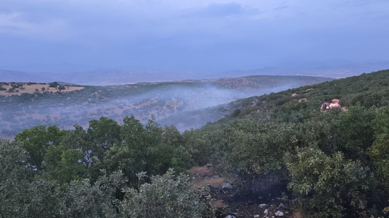 Diyarbakır Silvan’da örtü yangını söndürüldü