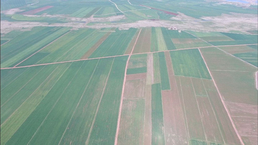 Diyarbakır’da 40 bin 550 dekar alan toplulaştırıldı 