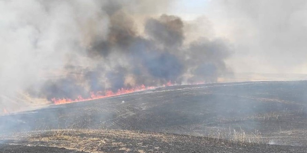 Diyarbakır'da 400 dönümlük ekili arazi yanarak küle döndü