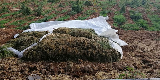 Diyarbakır'da dev operasyon! 4.5 ton ele geçirildi