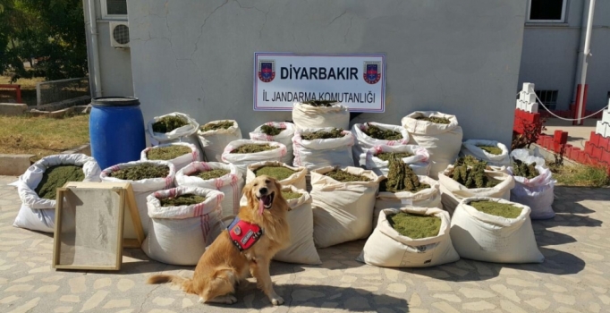 Diyarbakır'da 466 kilo esrar yakalandı