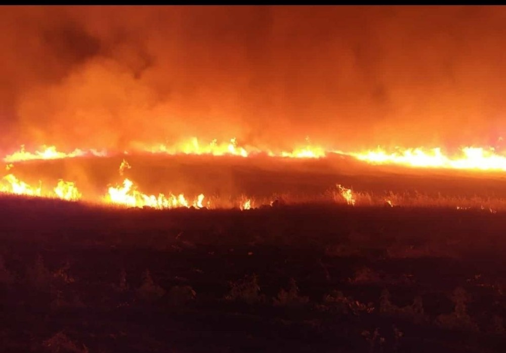 Diyarbakır’da 60 dönümlük ekili arazi kül oldu 