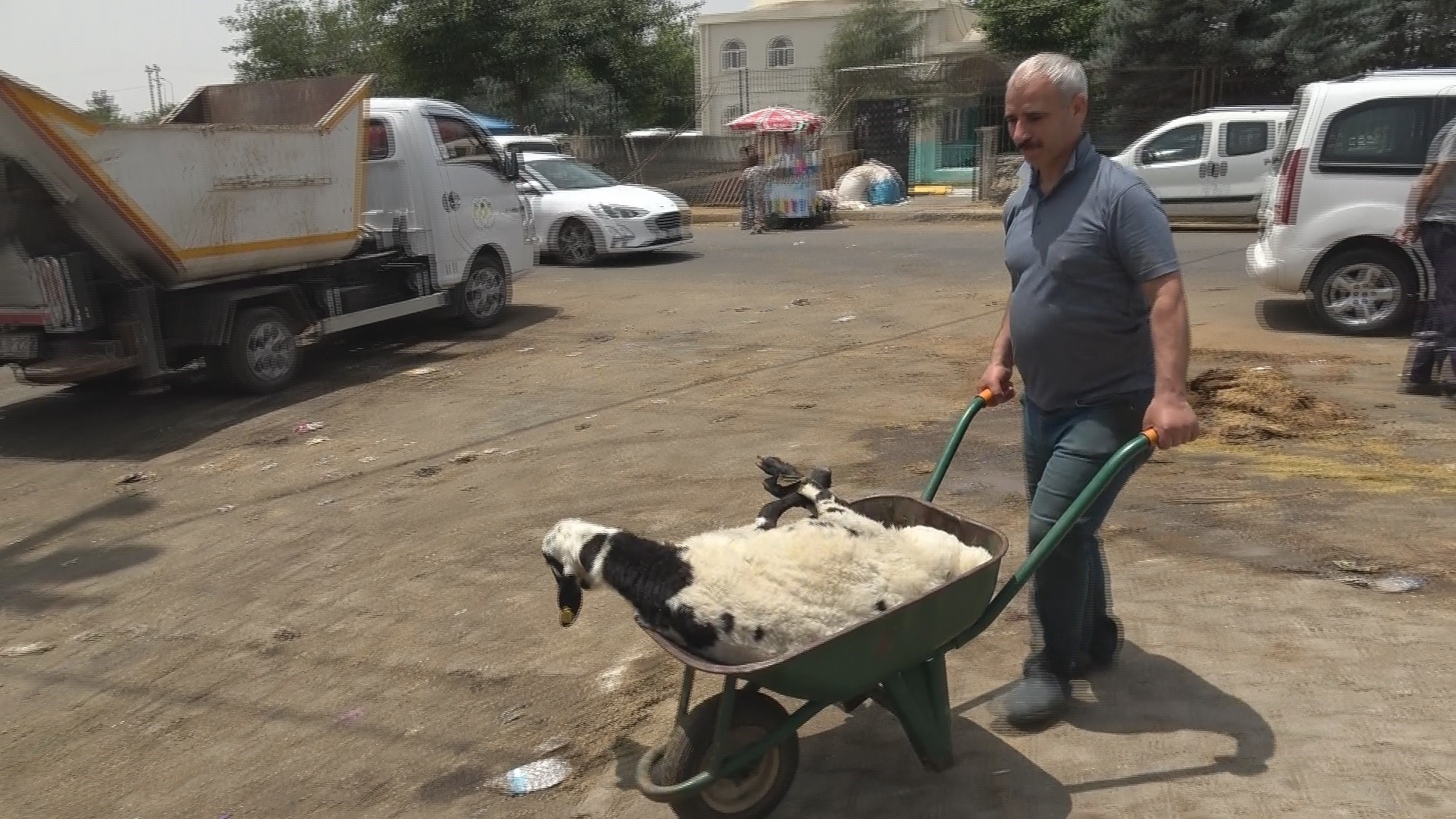 Diyarbakır'da bayramın son gününde kurbanlık yoğunluğu