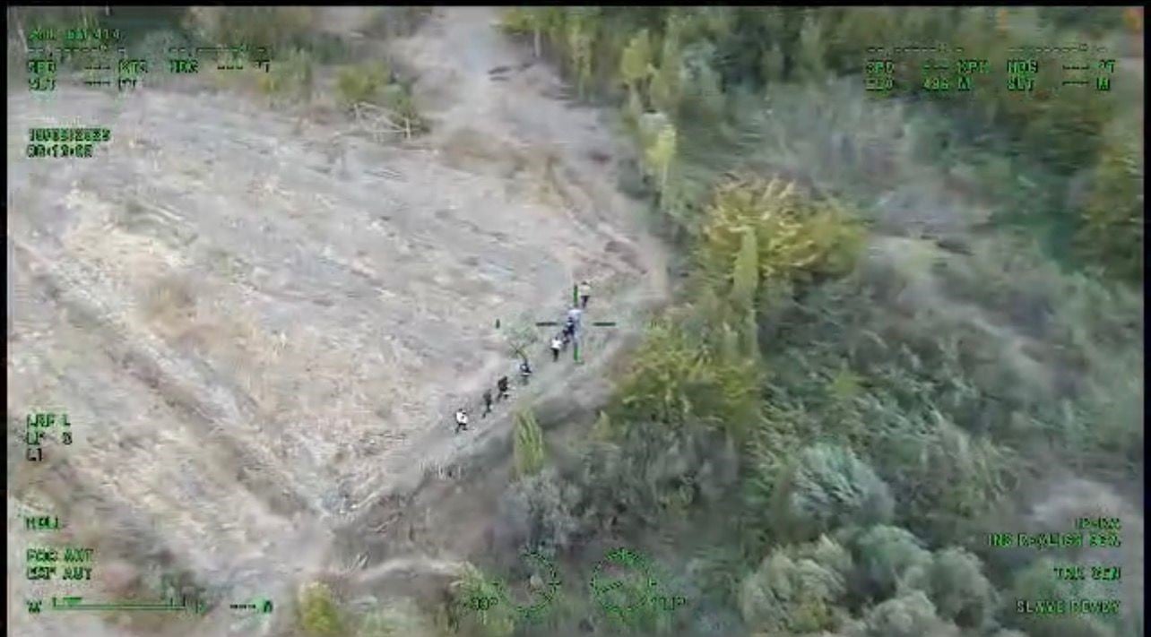 Diyarbakır’da dev operasyon! 1 milyar liralık kenevir ele geçirildi