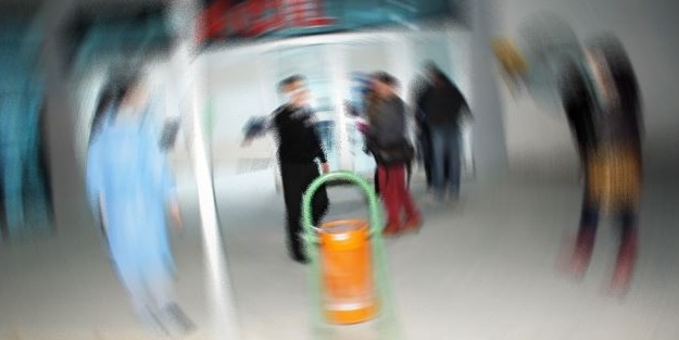 Diyarbakır'da domuz gribi alarmı