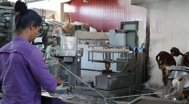 Diyarbakır'da ipek böcekçiliği yeniden hareketlendi