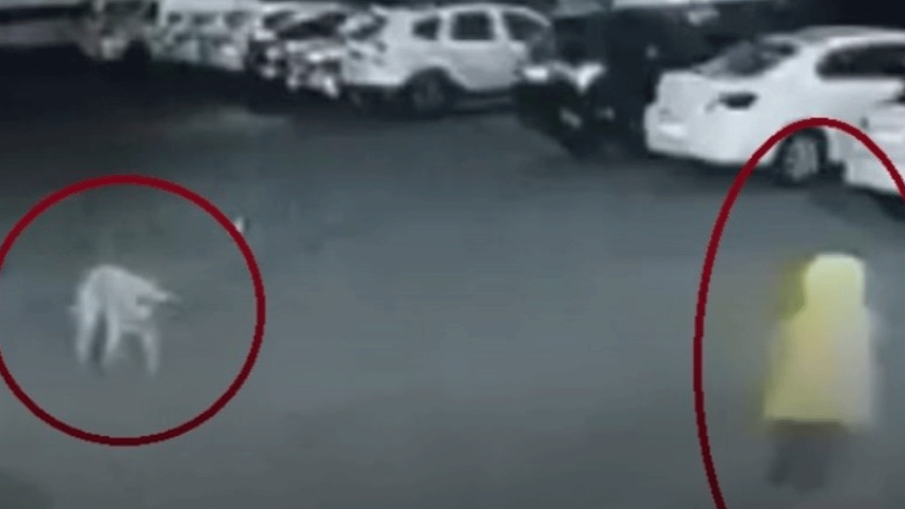 Diyarbakır'da kadın ve çocuk canını zor kurtardı!