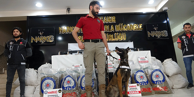 Diyarbakır’da 'Kökünü Kurutma Operasyonu'nda 133 tutuklama