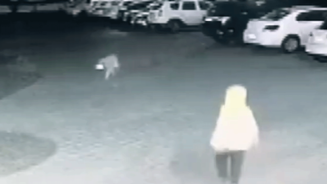 Diyarbakır'da köpek dehşeti! Kadın ve çocuk zor kurtuldu