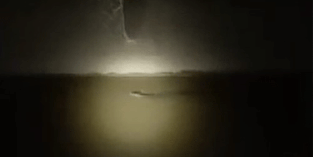 Diyarbakır'da nesli tükenmekte olan 'su samuru' görüldü