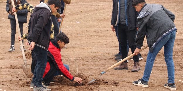 Diyarbakır'da okula tahsis edildi! Atıl 750 dönüm arazide öğrenciler buğday yetiştirecek