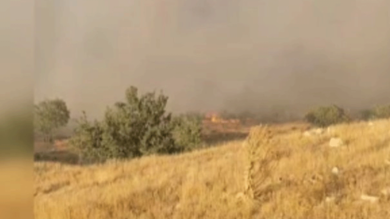 Diyarbakır'da orman yangını büyüdü!