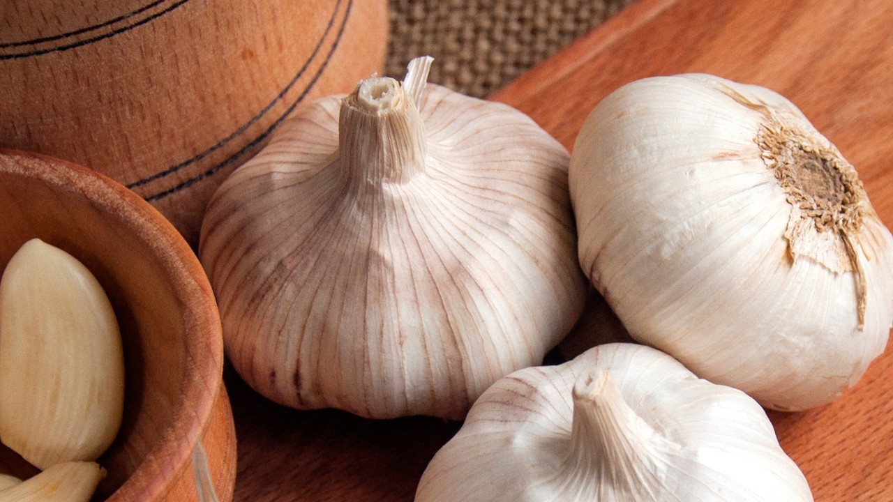 Diyarbakır’da şifa kaynağı: Kilosu 250 bin liraya satılıyor. Tarihi binlerce yıl öncesine ait çıktı