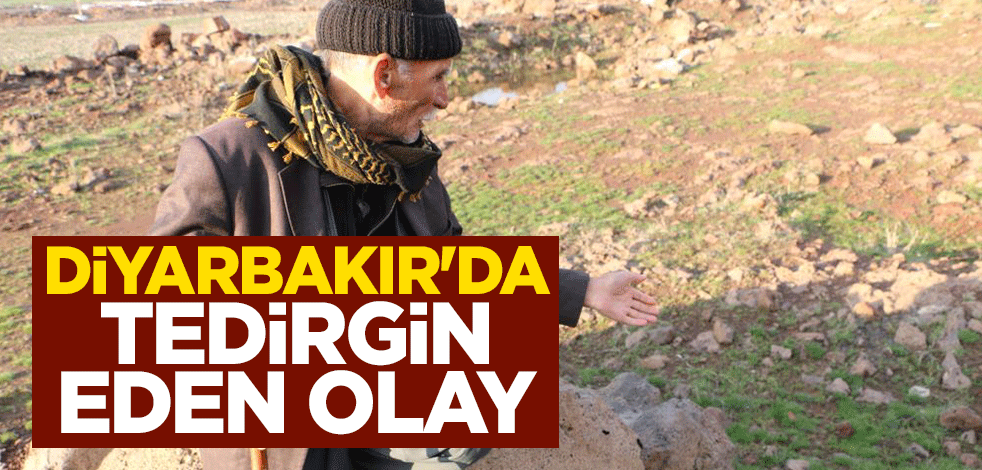 Diyarbakır'da tedirgin eden olay